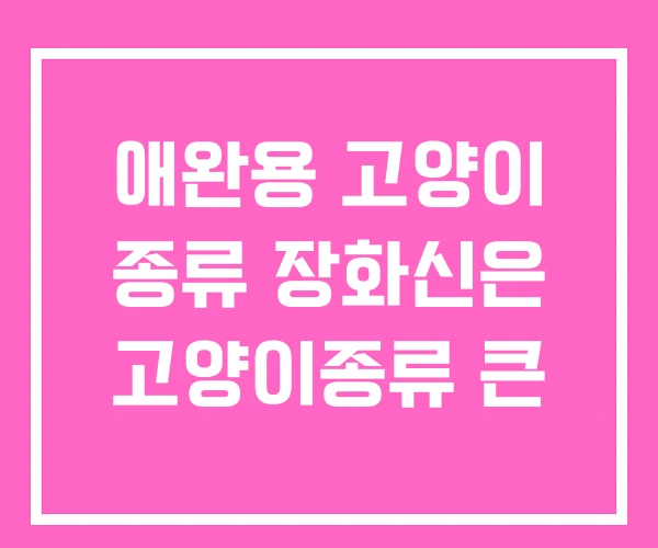 애완용 고양이 종류 장화신은 고양이종류 큰