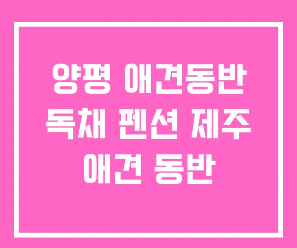 양평 애견동반 독채 펜션 제주 애견 동반