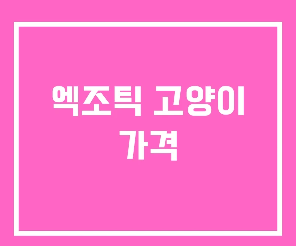 엑조틱 고양이 가격 엑조틱 고양이 가격