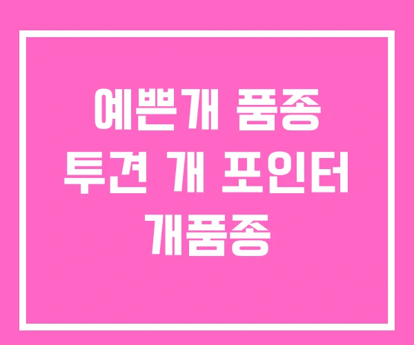 예쁜개 품종 투견 개 포인터 개품종