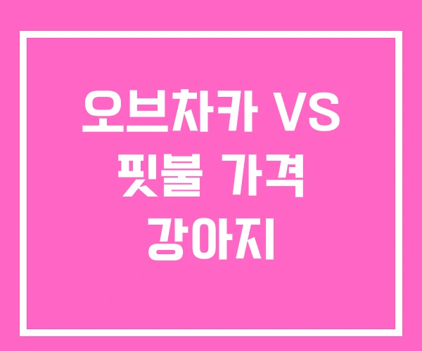 오브차카 VS 핏불 가격 강아지 오브차카 VS 핏불 가격 강아지