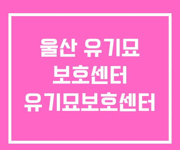 울산 유기묘 보호센터 유기묘보호센터