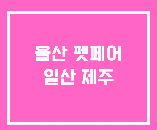 울산 펫페어 일산 제주