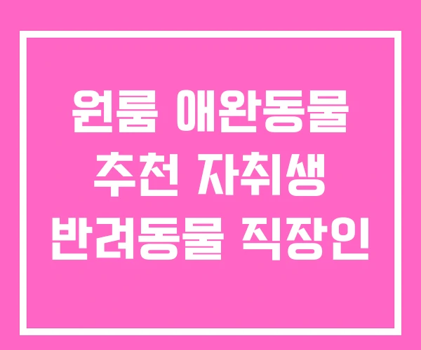 원룸 애완동물 추천 자취생 반려동물 직장인