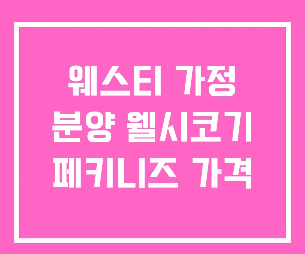 웨스티 가정 분양 웰시코기 페키니즈 가격