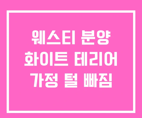 웨스티 분양 화이트 테리어 가정 털 빠짐