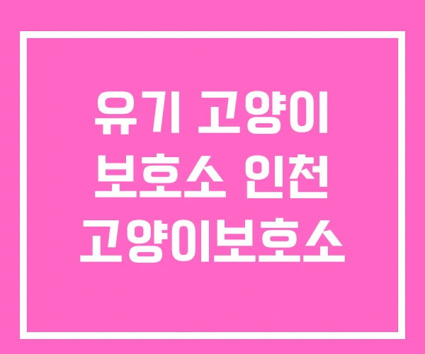 유기 고양이 보호소 인천 고양이보호소