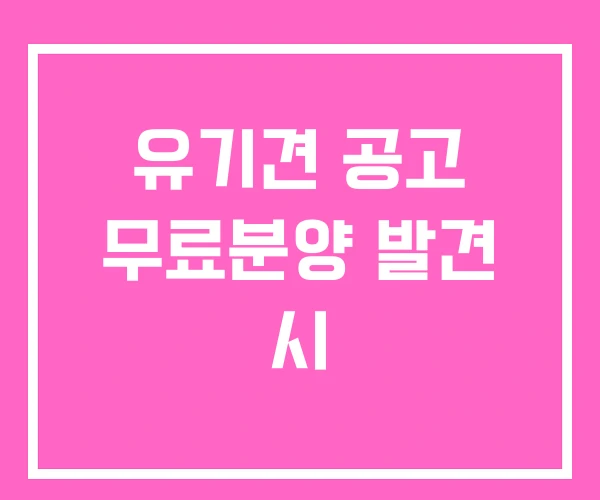 유기견 공고 무료분양 발견 시 유기견 공고 무료분양 발견 시