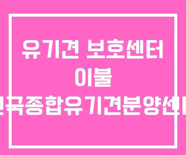 유기견 보호센터 이불 전국종합유기견분양센터