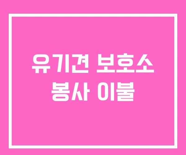 유기견 보호소 봉사 이불