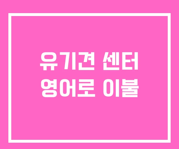 유기견 센터 영어로 이불 유기견 센터 영어로 이불