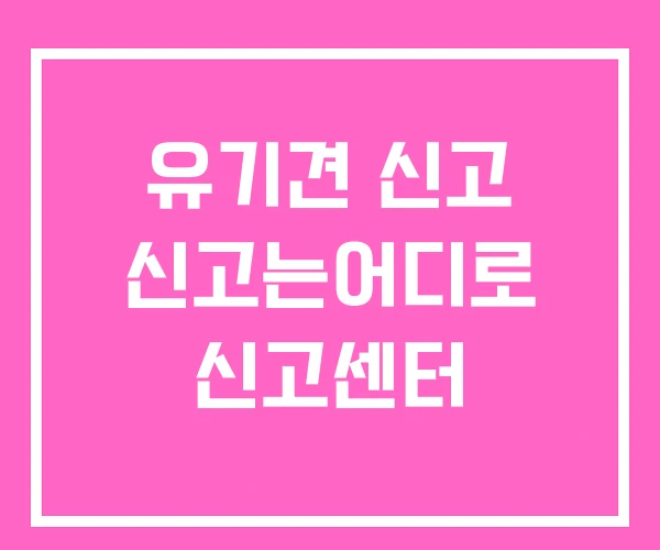 유기견 신고 신고는어디로 신고센터 유기견 신고 신고는어디로 신고센터
