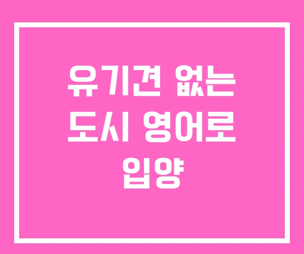 유기견 없는 도시 영어로 입양 유기견 없는 도시 영어로 입양