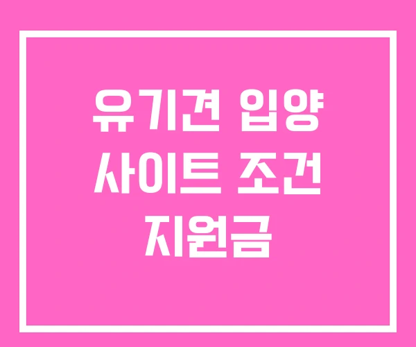 유기견 입양 사이트 조건 지원금