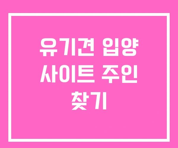 유기견 입양 사이트 주인 찾기