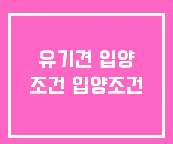 유기견 입양 조건 입양조건