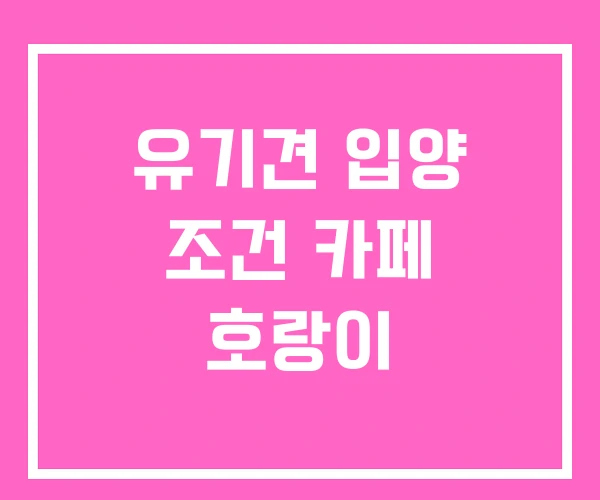 유기견 입양 조건 카페 호랑이 유기견 입양 조건 카페 호랑이
