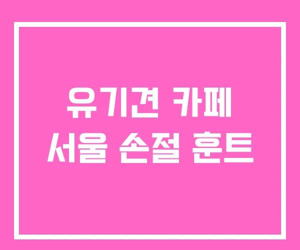 유기견 카페 서울 손절 훈트