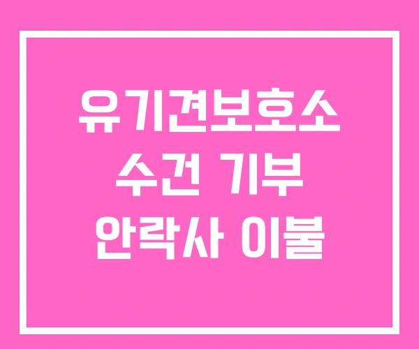 유기견보호소 수건 기부 안락사 이불