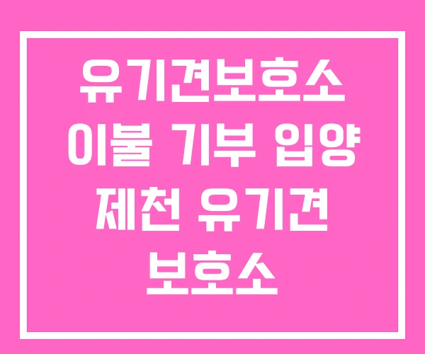유기견보호소 이불 기부 입양 제천 유기견 보호소