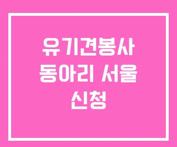 유기견봉사 동아리 서울 신청