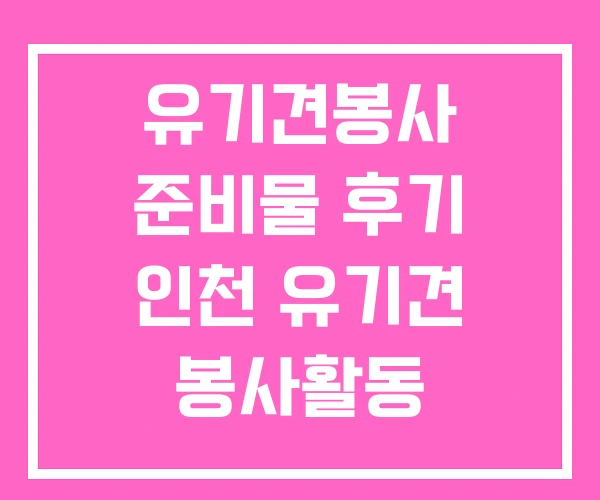 유기견봉사 준비물 후기 인천 유기견 봉사활동