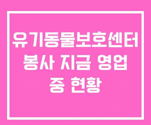 유기동물보호센터 봉사 지금 영업 중 현황