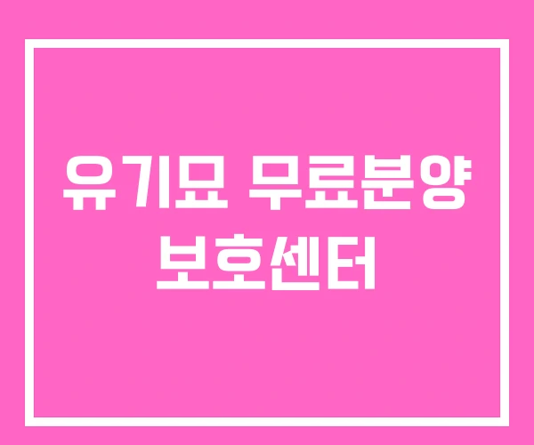 유기묘 무료분양 보호센터