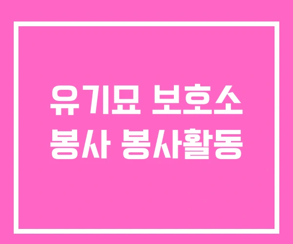유기묘 보호소 봉사 봉사활동