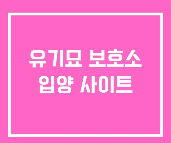 유기묘 보호소 입양 사이트