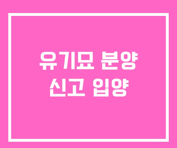 유기묘 분양 신고 입양