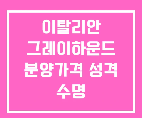 이탈리안 그레이하운드 분양가격 성격 수명