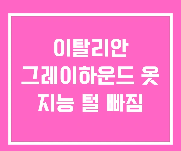 이탈리안 그레이하운드 옷 지능 털 빠짐