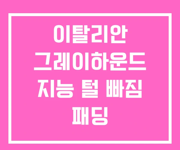 이탈리안 그레이하운드 지능 털 빠짐 패딩