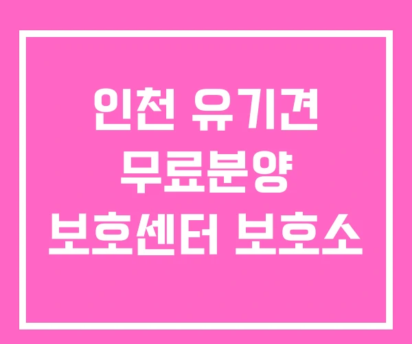 인천 유기견 무료분양 보호센터 보호소