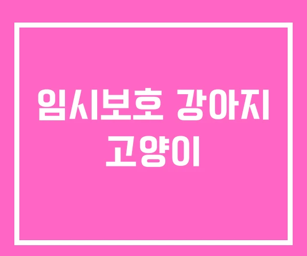 임시보호 강아지 고양이