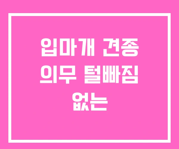 입마개 견종 의무 털빠짐 없는