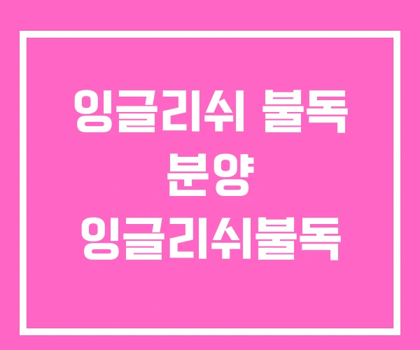 잉글리쉬 불독 분양 잉글리쉬불독