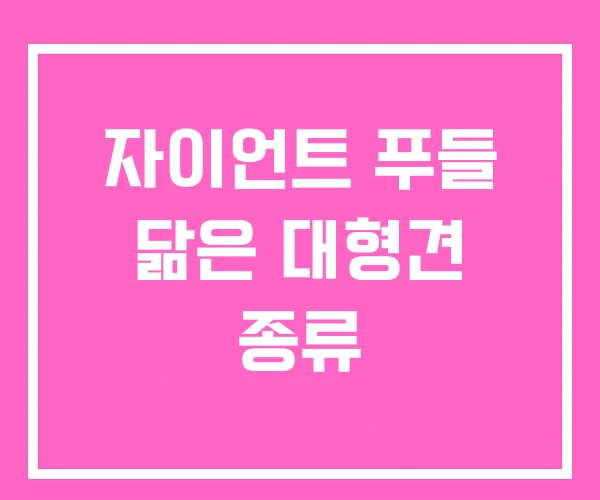 자이언트 푸들 닮은 대형견 종류