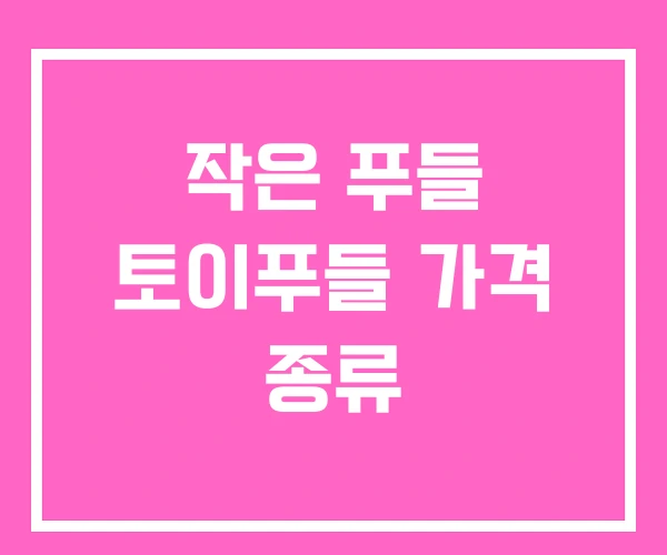 작은 푸들 토이푸들 가격 종류 작은 푸들 토이푸들 가격 종류