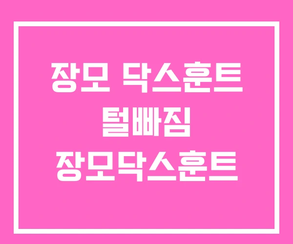 장모 닥스훈트 털빠짐 장모닥스훈트