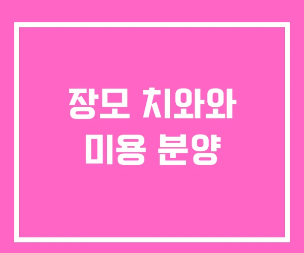 장모 치와와 미용 분양