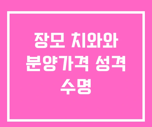 장모 치와와 분양가격 성격 수명 장모 치와와 분양가격 성격 수명