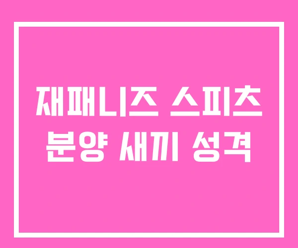 재패니즈 스피츠 분양 새끼 성격