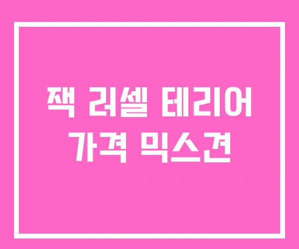 잭 러셀 테리어 가격 믹스견