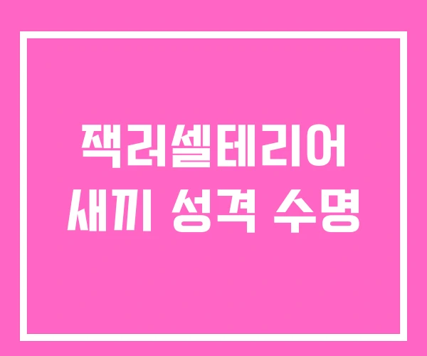 잭러셀테리어 새끼 성격 수명