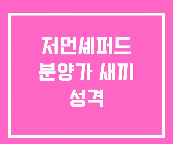 저먼셰퍼드 분양가 새끼 성격