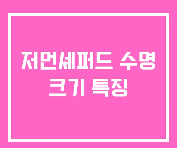 저먼셰퍼드 수명 크기 특징 저먼셰퍼드 수명 크기 특징