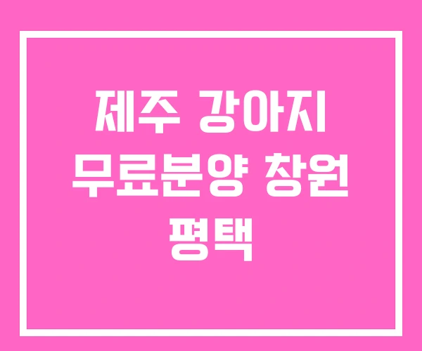 제주 강아지 무료분양 창원 평택 제주 강아지 무료분양 창원 평택