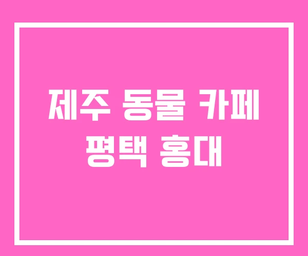 제주 동물 카페 평택 홍대